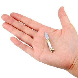 Cuchillo de bolsillo para gadgets en miniatura, Eastern Delights EDC Ultra Pequeña herramienta de cuchilla de corte multifunción (mango Galaxy Shell)