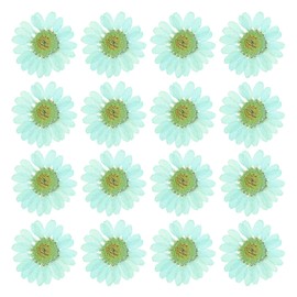 PATIKIL 48 Pcs Dried Pressed Flower Natural Dried Daisy Flower for DIY Art Crafts House Decoration Nails Decoration,Mint Blue