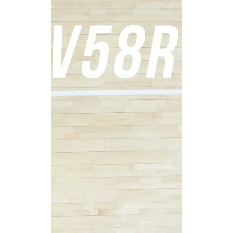 Balón Voleibol Molten V58r Hule Natural