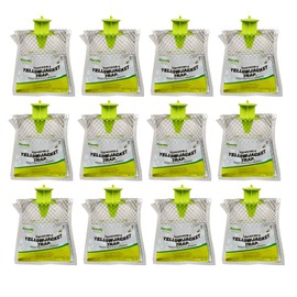 RESCUE! Disposable Summer Yellowjacket Trap - Western Time Zones - 12 Traps