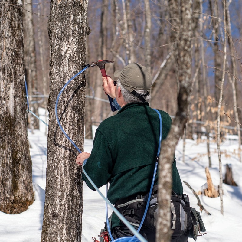 Butternut Mountain Farm Pure Vermont Maple Syrup, Grade A, Dark