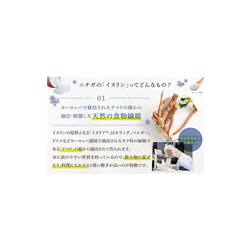 NICHIGA(ニチガ) イヌリン (オランダ産 ） 500g イヌリア 天然チコリ由来 水溶性食物繊維 微顆粒品 Non-GMO