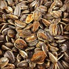 INHALE BBQ - Pit Smoked Spicy BBQ Sunflower Seeds (2