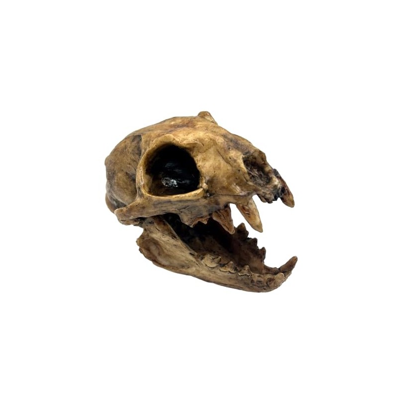 Aztec Death Whistle - Apex Predator