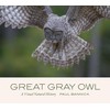 Great Gray Owl: A Visual Natural History