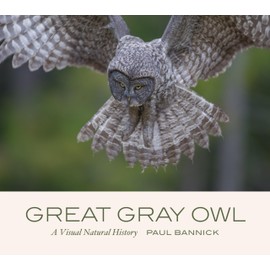Great Gray Owl: A Visual Natural History