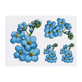 4 x 'Forget Me Nots' Temporary Tattoos (TO00036507)