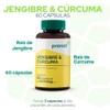 PRONAT | Jengibre & Cúrcuma, Suplemento Alimenticio, 60 cápsulas de