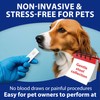 Pet H. Pylori Health Check Kit (2-Pack) – at-Home Testing