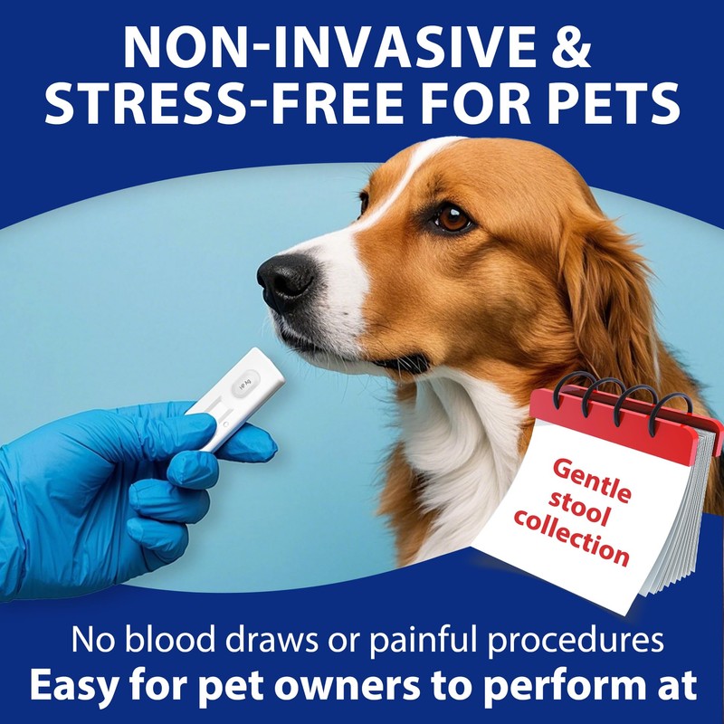 Pet H. Pylori Health Check Kit (2-Pack) – at-Home Testing