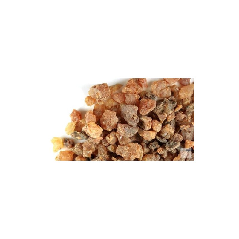 Myrrh | Myrrh Pure Tree Incense | Hand Picked, Natural,