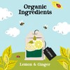 (3 PACK) - Clipper - Organic Lemon & Ginger |