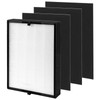 45i Replacement Filter for Breathesmart Flex Bh400 45i Air Purifier