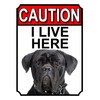 Shawprint CAUTION I LIVE HERE METAL GATE SIGN CANE CORSO