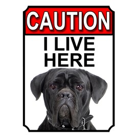 Shawprint CAUTION I LIVE HERE METAL GATE SIGN CANE CORSO THEME 200MM X 150MM (1392H1)
