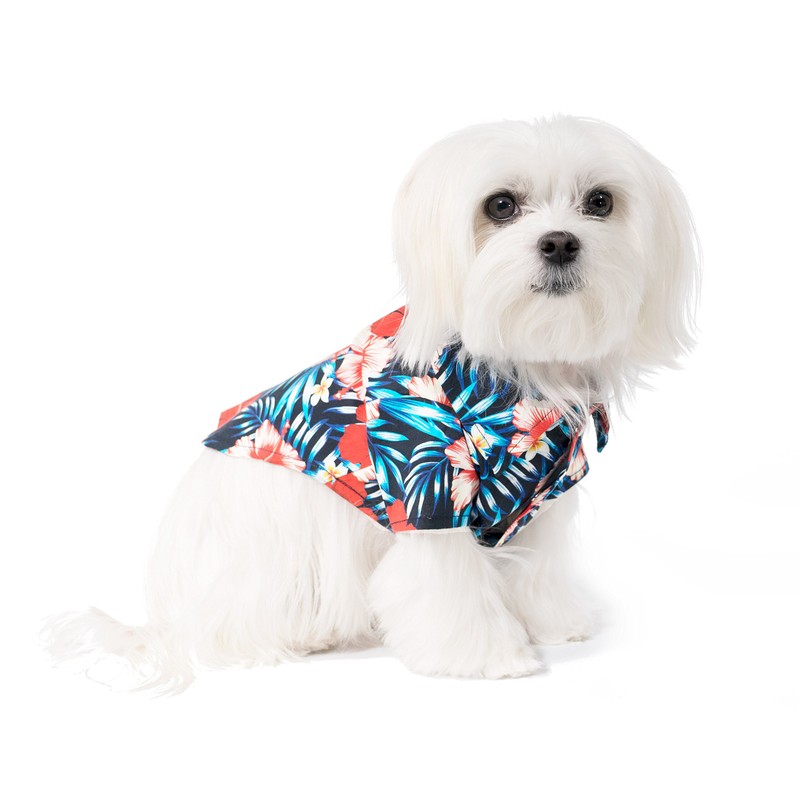 United Pups Hawaiian Shirt for Dogs Small to Medium Pets