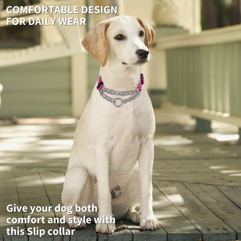 haoyueer Martingale Dog Collar - Stainless Steel Chain, No Pull