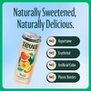 Zevia Zero Sugar Tea, Black Tea with Peach, 12 oz