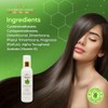 Dominican Magic Silk Shine Hair Serum, 6 Ounce