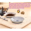 Whisker Fatigue Cat Bowl — Cat Bowls Whisker Friendly 6PCS