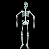 브이와이 하프클럽/해골 모형 소 이벤트 할로윈파티 장식소품 공포 VY Half Club/Skeleton Model Mini Event Halloween Party Decoration Prop Horror