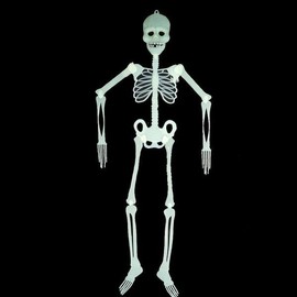 브이와이 하프클럽/해골 모형 소 이벤트 할로윈파티 장식소품 공포 VY Half Club/Skeleton Model Mini Event Halloween Party Decoration Prop Horror
