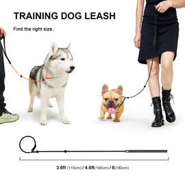 BeauGo Slip Leads for Dogs,Thin Slip Lead,Dog Training Leash,Thin Slip Leads for Dogs,Gentle Leader for Dogs for Small,Medium or Large Dogs,Strong Dog Leash (Seagreen, 1.1M Long)