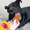 KONG All Natural Chicken Recipe Jerky Dog Treats for Training