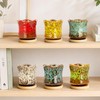 Succulent Pots with Drainage Tray, Cute Ceramic Pots for Plants