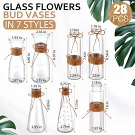 Domensi 28 Pieces Small Glass Bud Vases Bulk Vintage Glass Flower Vase with Rope Mini Vases for Centerpieces Rustic Decorative Vase Clear Differing Shapes Vases for Wedding Baby Shower Bridal