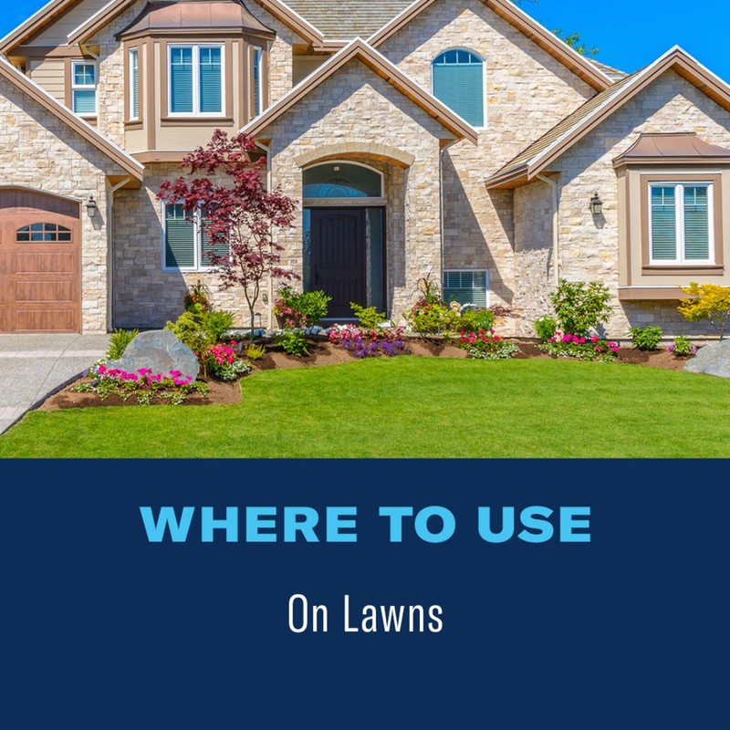 BioAdvanced 24-Hour Grub Plus Insect Killer Outdoor for Lawns, Ant,