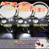 Phoenix Clione Type Hand Magnifier Magnification Magnifier Magnifier Magnifier with