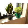 Meicynhoger 4-Pack Plastic Self-Watering Hanging Planters for Snake Plant​​,Succulents,African Violets