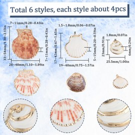 SUNNYCLUE 1 box 6 styles 24pcs Natural Shell Charms Sea Shell Charms Summer Ocean Beach Theme Shells Charm with Metal Loop for Jewellery Making Charms Birthday Party Bracelets Keychain Gifts Craft