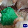 Dawe's GroGel Plus - Poultry Feed - for Treatment of