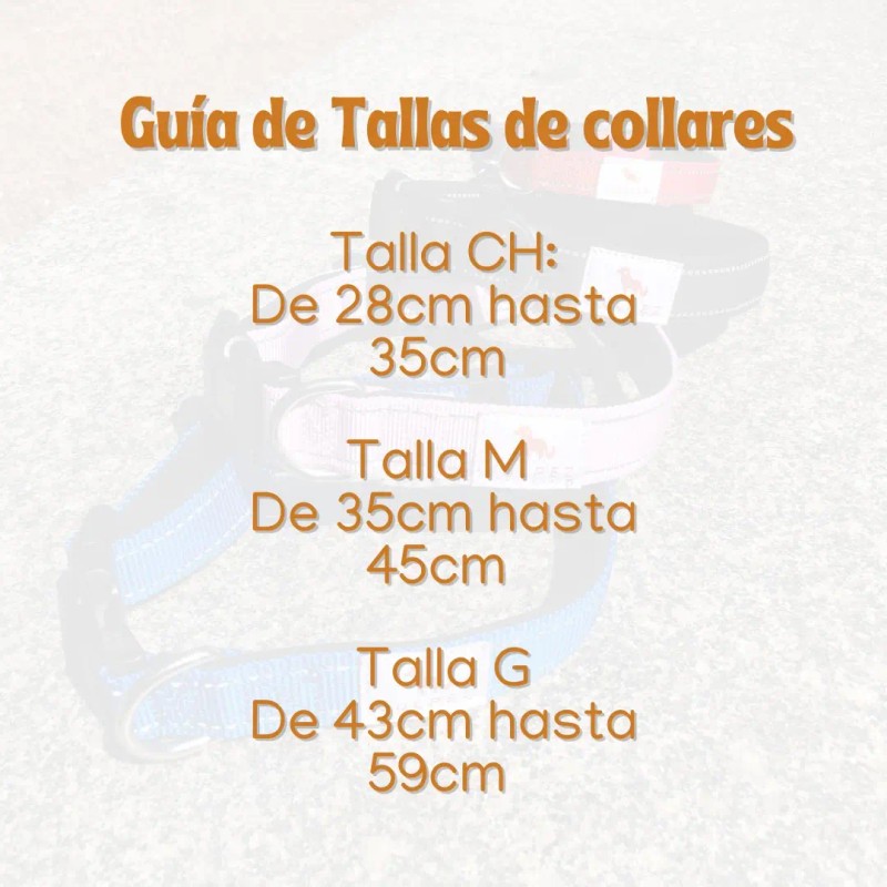 Vulpez Collar Perro Acolchado Ajustable Paseo Colores Gato