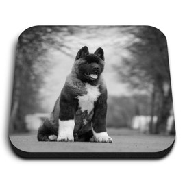1 x Square MDF Fridge Magnet - Large American Akita Puppy Dog 36628
