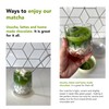 Ceremonial Grade | Matcha Powder Green Tea | Spring Harvest