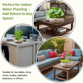 Lotus Bowl Planter, Ceramic Water Lily Bowl, Hydroponic Bonsai Lotus Bowls for Water Plants Indoor, Succulent Pots, Leak-Proof Spring Bird Design (7.56in*2.76in)