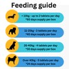 Cranberry Supplement For Dogs | Bladder, Kidney & UTI Support