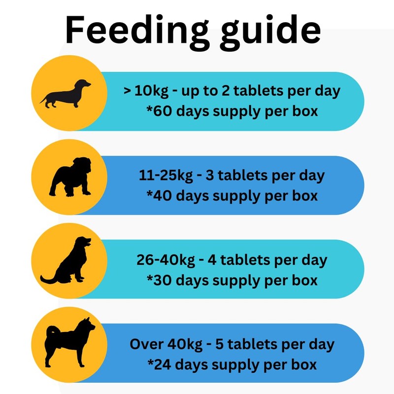 Cranberry Supplement For Dogs | Bladder, Kidney & UTI Support