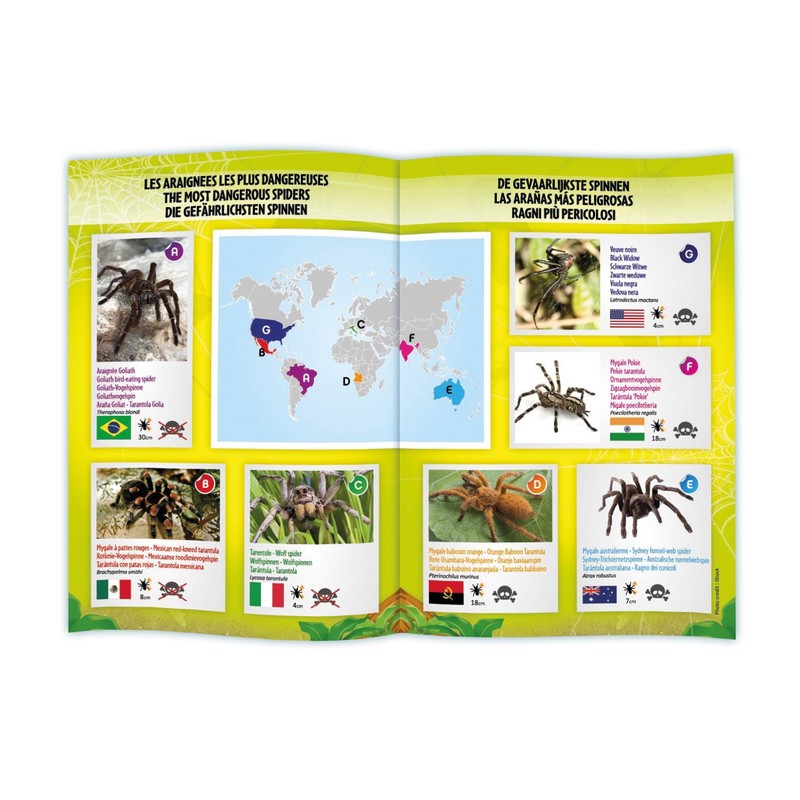 BUKI France Tarentula Remote Control Scientific Toys