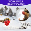 6Pack Horizontal Automatic Poultry Nipples - Easy Install Chicken Quail