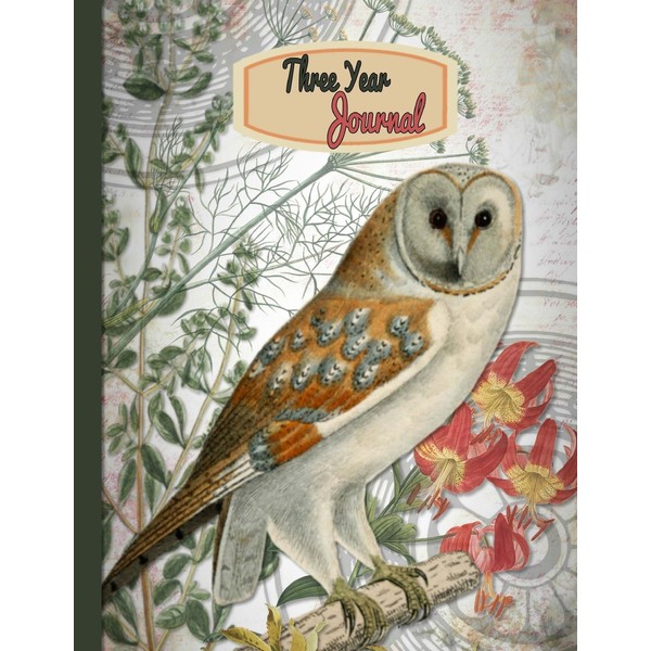 3 Year Journal: Wise Owl: 8.5"x 11" Paperback undated Perpetual