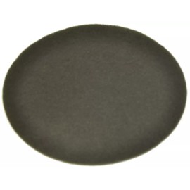 Dyson DC04, DC05 Upright Vacuum Cleaner Charcoal Filter