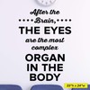 The Eyes Wall Decal - 0513 - After the brain