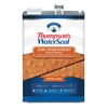 Thompson’s WaterSeal Semi-Transparent Waterproofing Wood Stain and Sealer, Natural Cedar,
