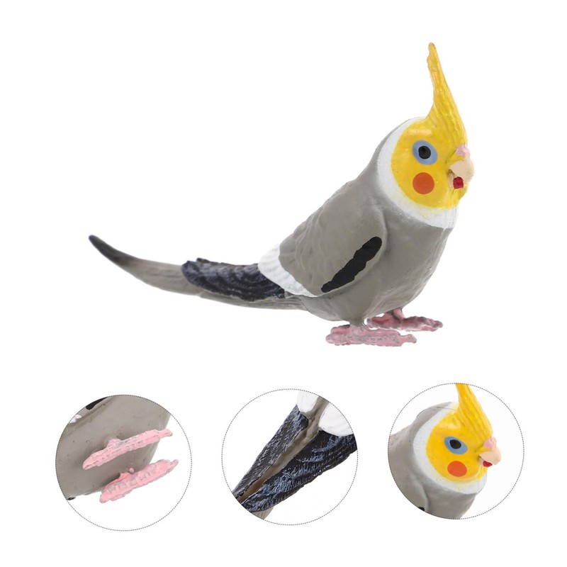 Vaguelly Realistic Cockatiel Figure, Highly Detailed Plastic Parrot Model, Perfect