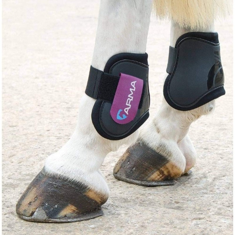 Shires Arma Fetlock Boots - Black/Plum: Cob/Full