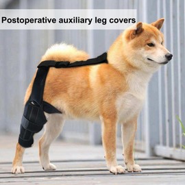 Knee Brace for Dogs | Dog Rear Leg Sleeve | Non-Slip Pet Knee Sleeve with Adjustable Strap, Soft Protector for Mobility Fixation Recovery Rehabilitation